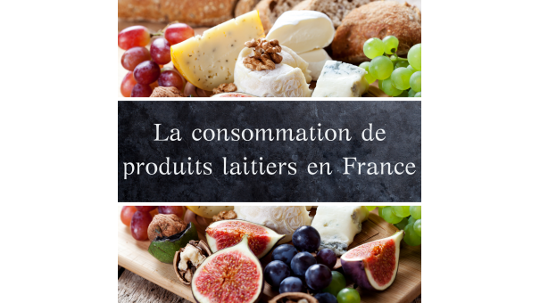 production of cheese 2019