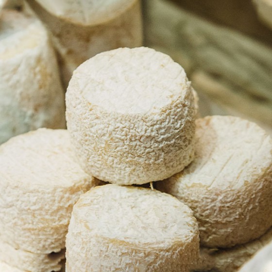 fiche fromage crottin