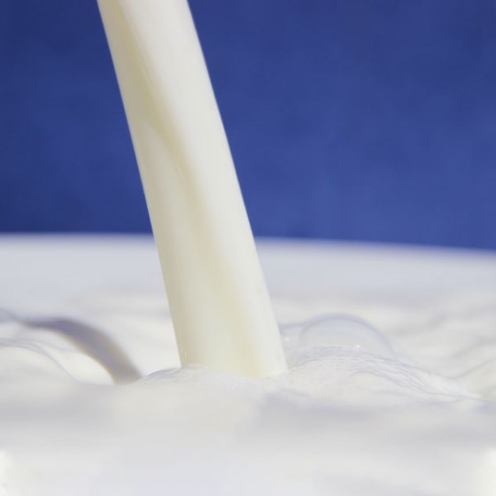 fiche fromage lait pasteurisé