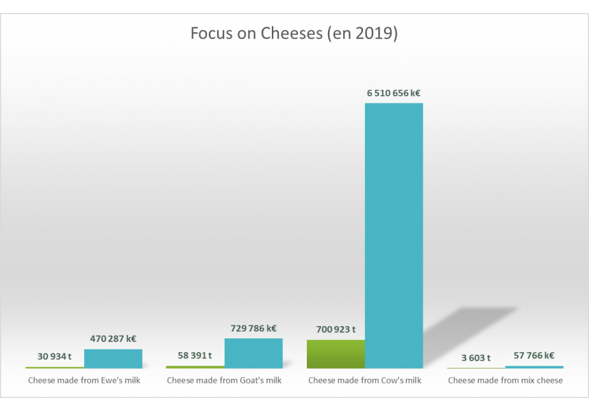 focus cheese